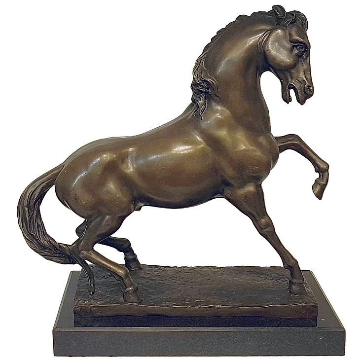 Feral Horse of the Namib