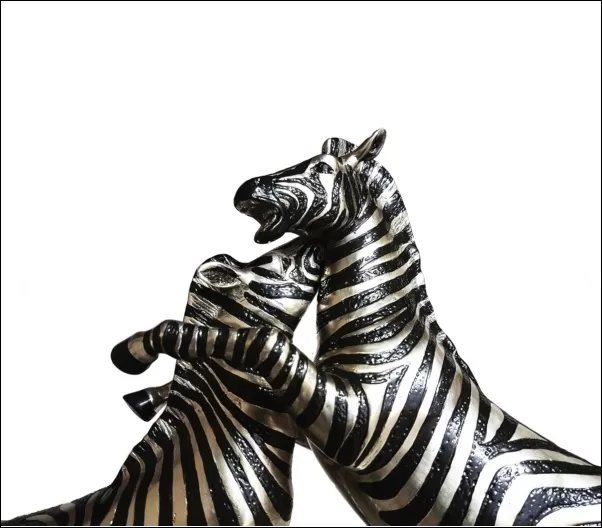 Zebras Fighting - Image 2