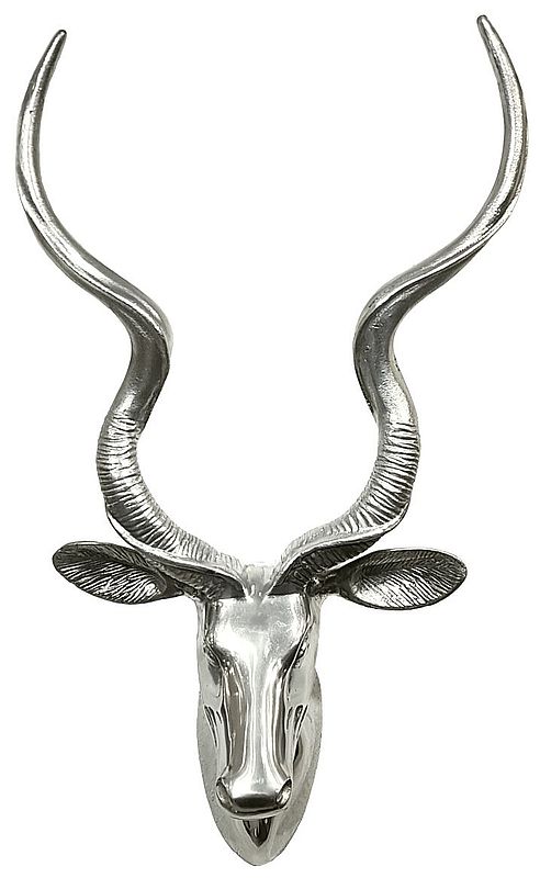 Kudu Head - Smooth finish - Image 5