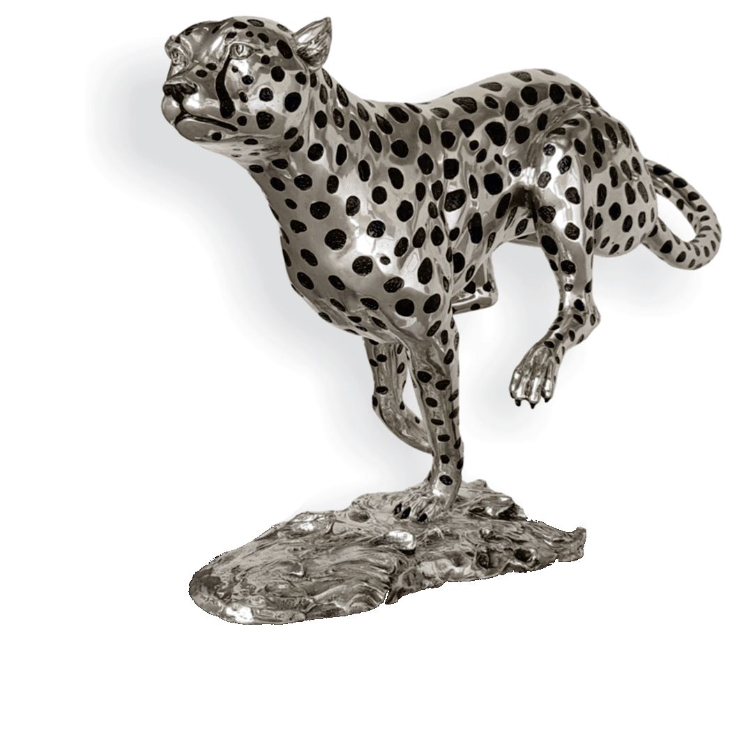 cheetah running large 2