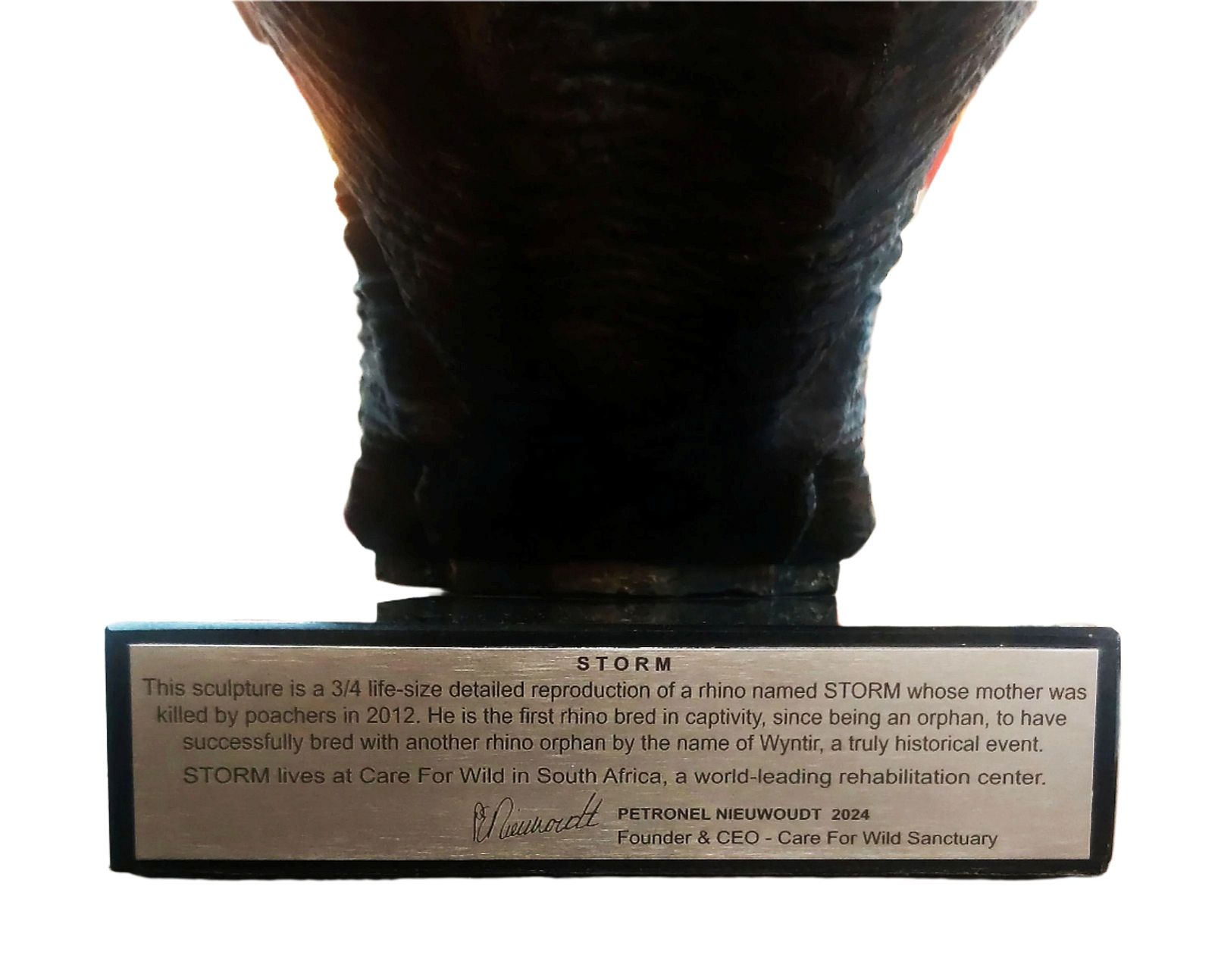 Bronze rhino head (Large) - Image 10