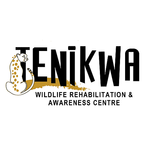 tenikwa