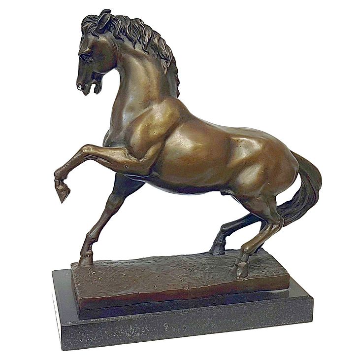 Feral Horse of the Namib - Image 2