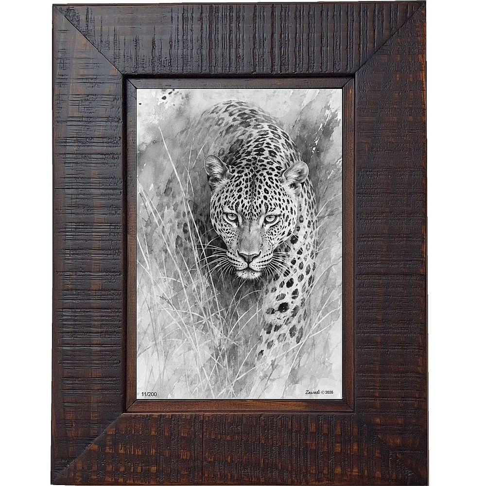 Ember - Cape Leopard