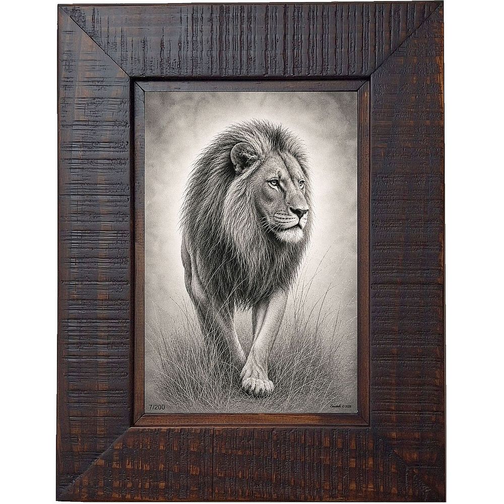 Jengo - Lion walking