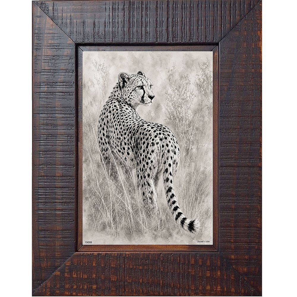 Kasi - Cheetah