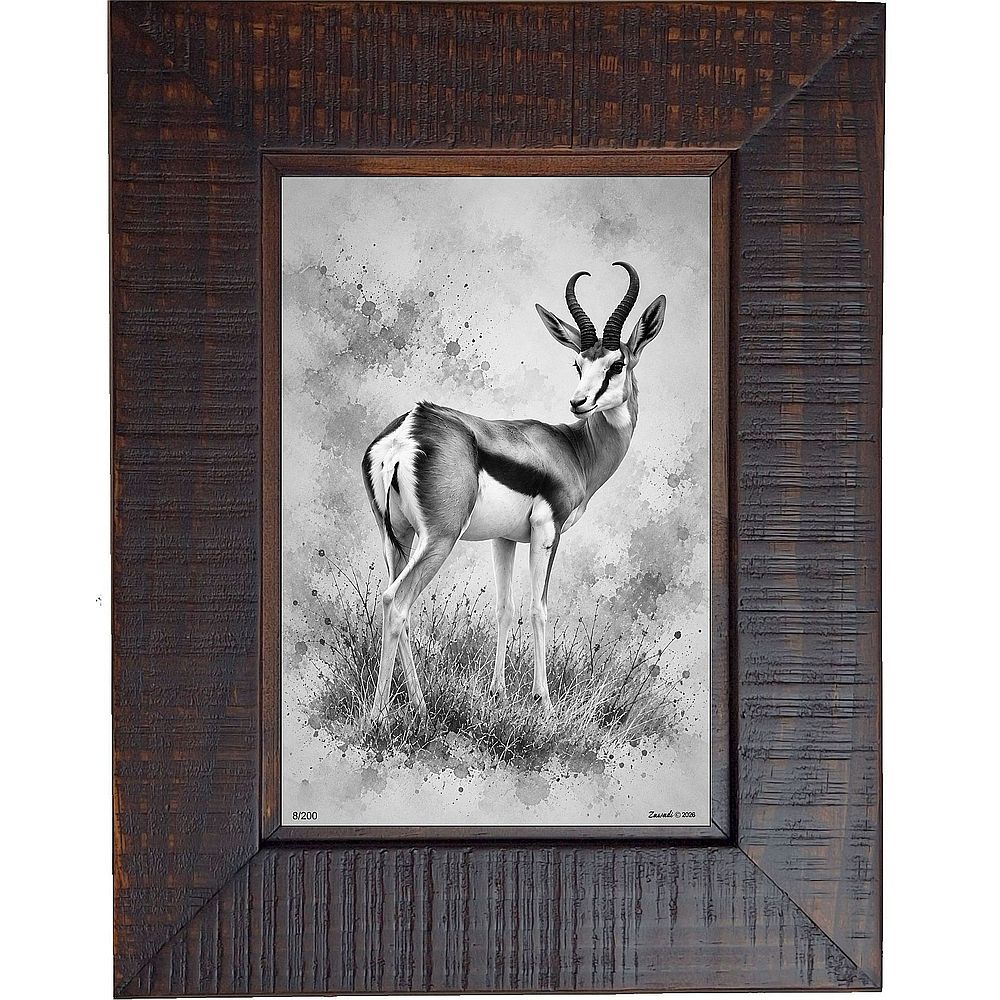 Chunga - Springbok on alert