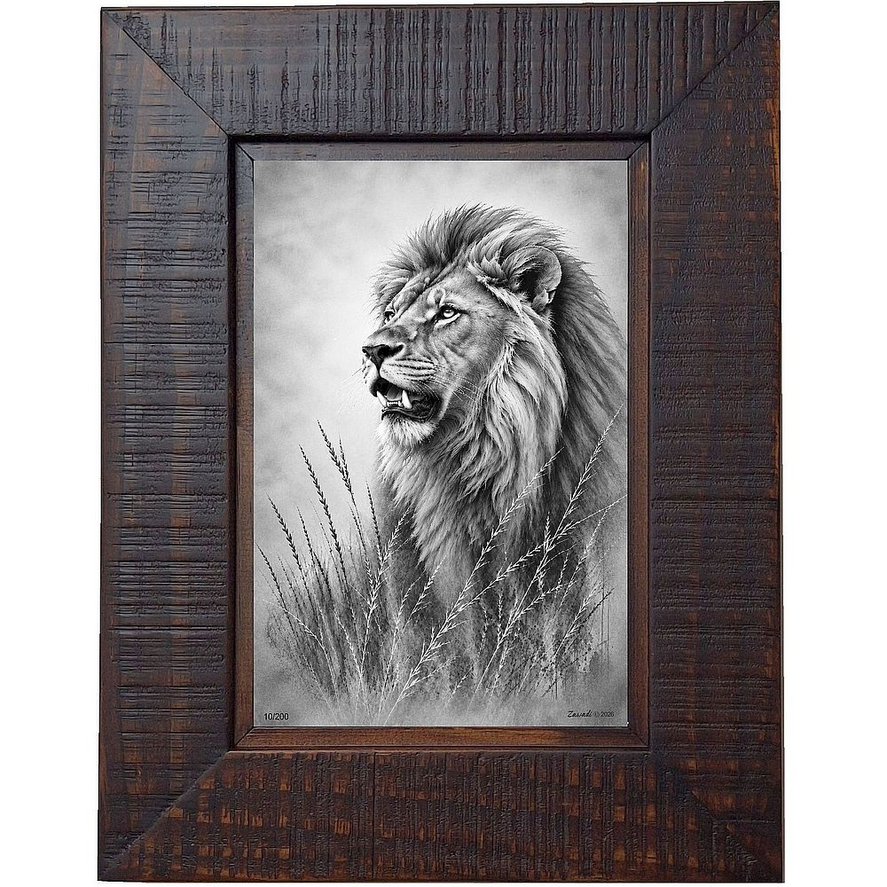Mfalme - lion in grass