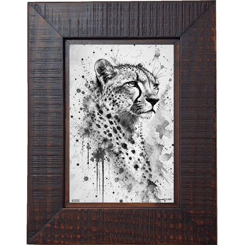 Paka - Cheetah portrait