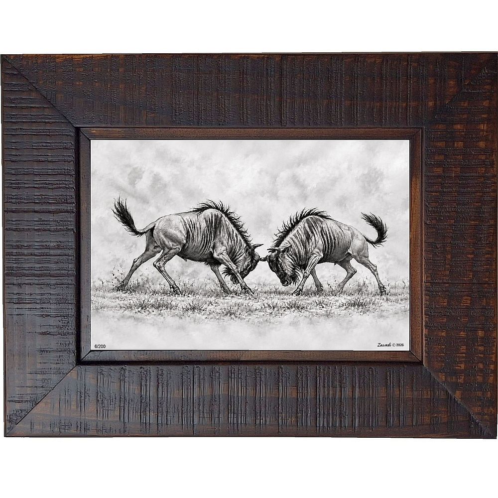Shida - Wildebeest contest
