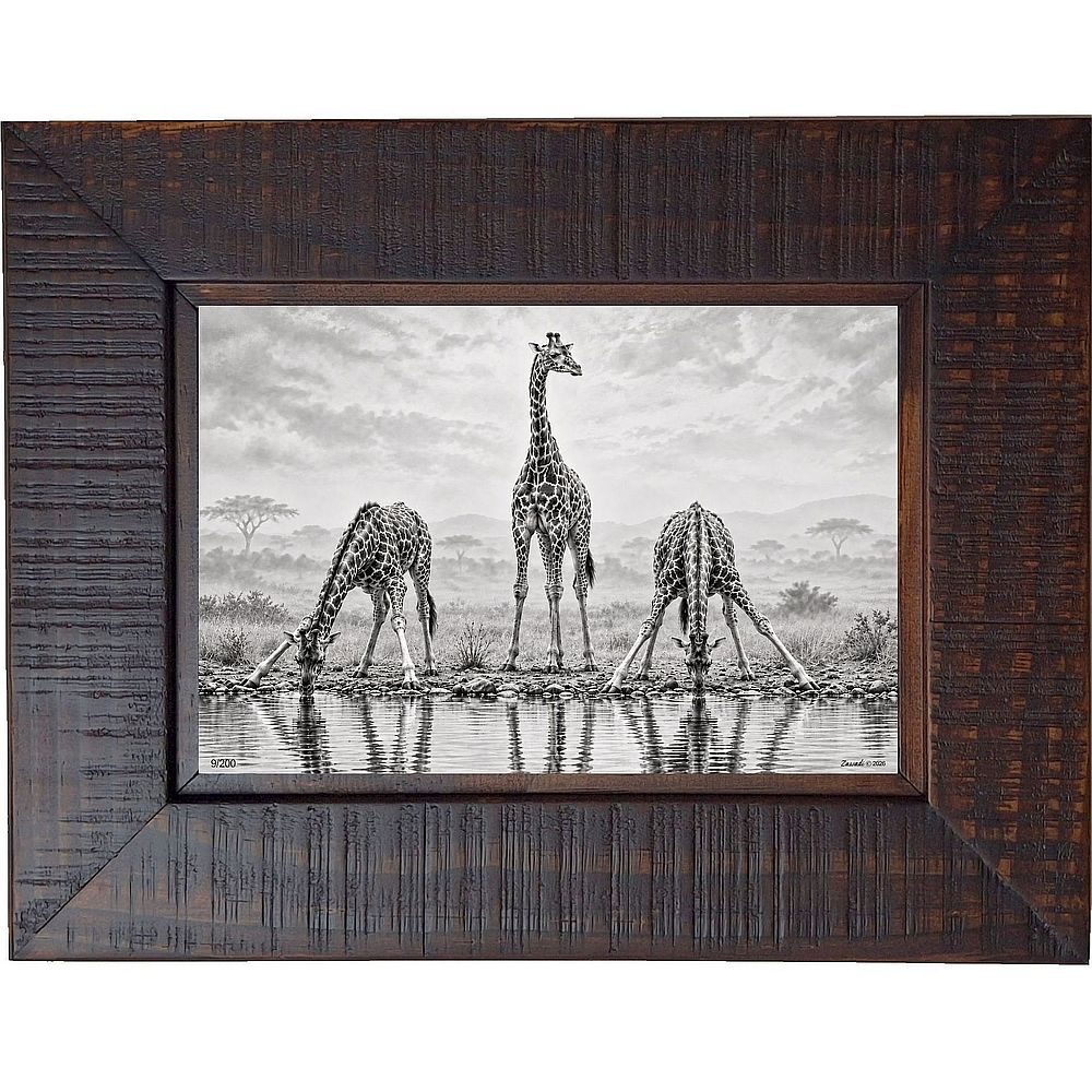 Twiga Tatu - giraffes at waterhole