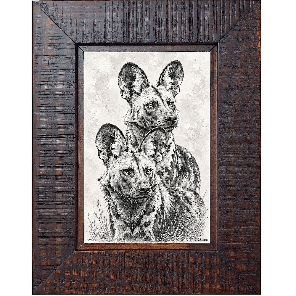 Umbwa bili - African Wild Dogs