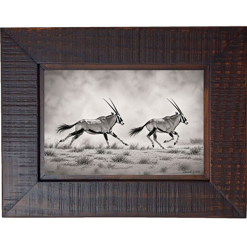 Upezi - Oryx running